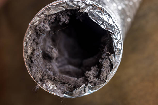 Best Air Duct Cleaning Near Me  in Pennington Gap, VA